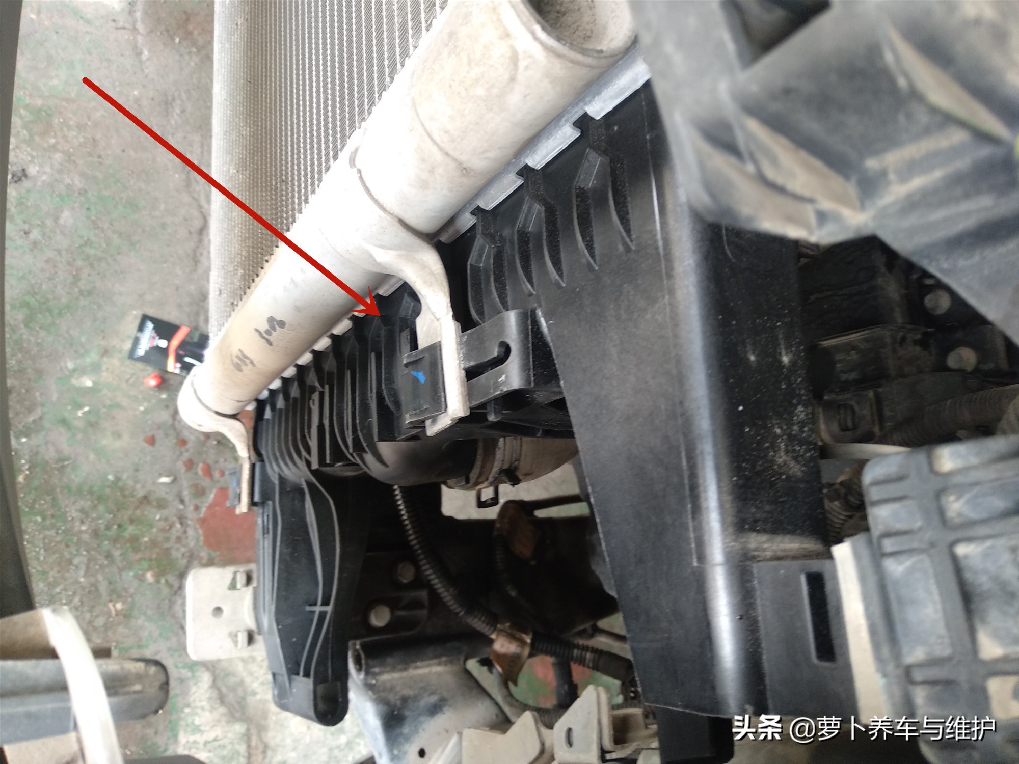 开别克英朗的车主,开着别克英朗在路上视频