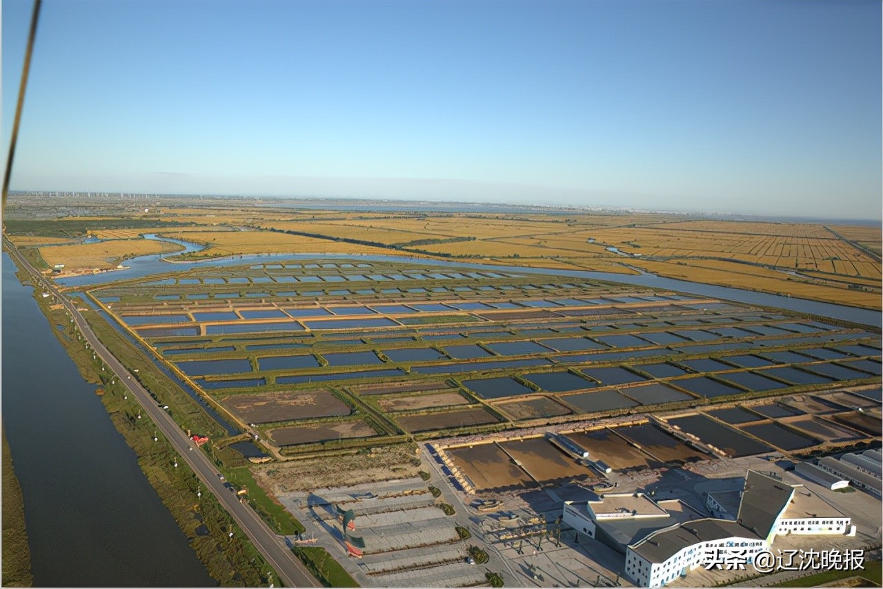 辽宁公布1030个美丽宜居村,辽宁1030个美丽宜居村盘锦