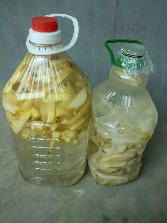 盆栽黄叶烂根什么原因,黄叶烂根怎么补救