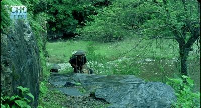 《那人那山那狗》：温润我心灵的是父爱，是乡爱，是人与人的温情