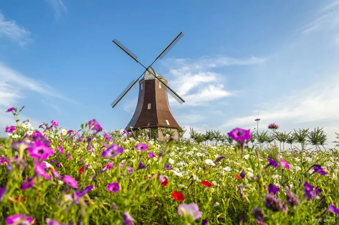 周末游玩优惠票,0元优惠票