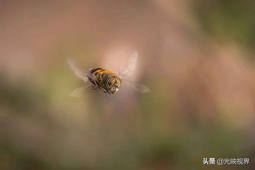 捕捉瞬间摄影,捕捉精彩瞬间定格最美一刻