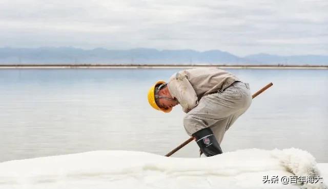 国际海员真实生活,邮轮海员真实生活
