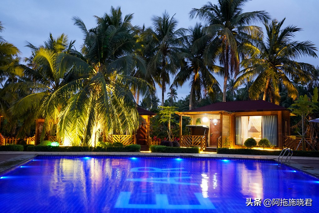 漫步其中尽享清新惬意,漫步海边椰林