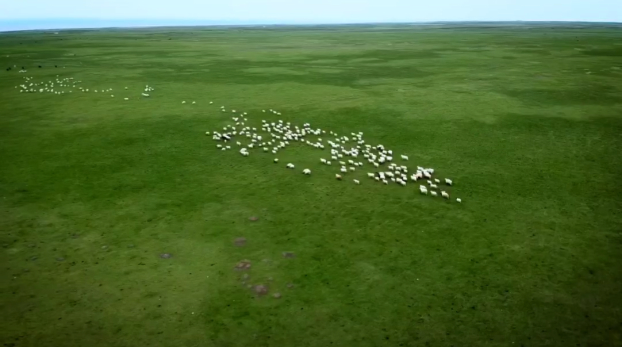 玩转西宁攻略,青海西宁之旅