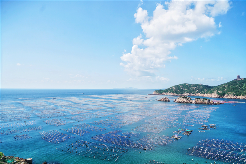 嵊泗旅游美食攻略,嵊泗攻略3天2夜美食推荐