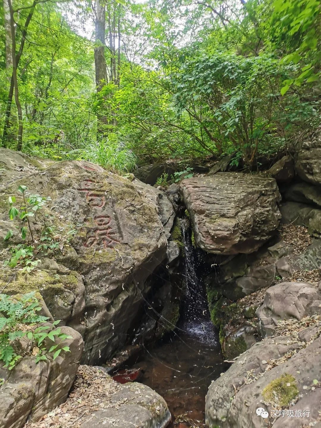 靖西双龙峡网红小火车,京西小九寨二日游