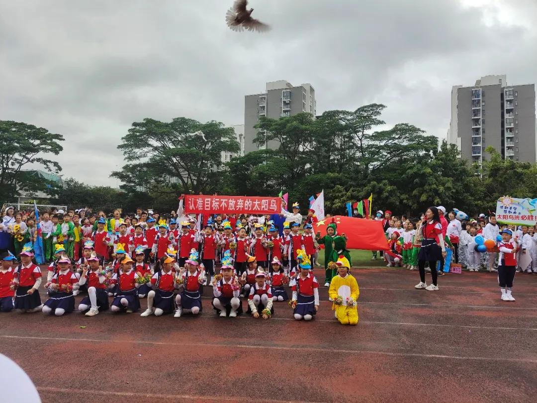 龙腾虎跃展英姿,龙腾虎跃展宏图