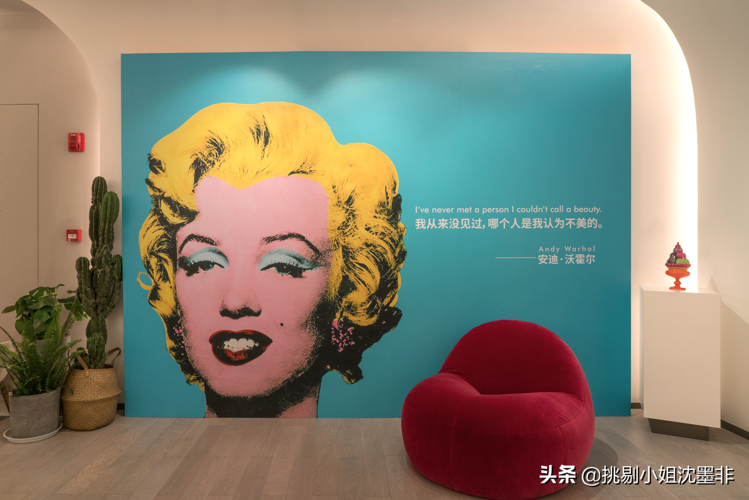 苏州冰激凌网红店,冰激凌店网红