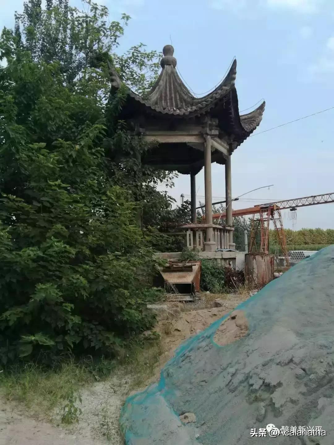 兴平40年前酒厂生产的酒，曾比西凤酒还受欢迎，你知道吗？