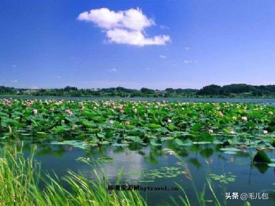 旅游｜一位全球巨星的家乡，一位文艺老人的一生