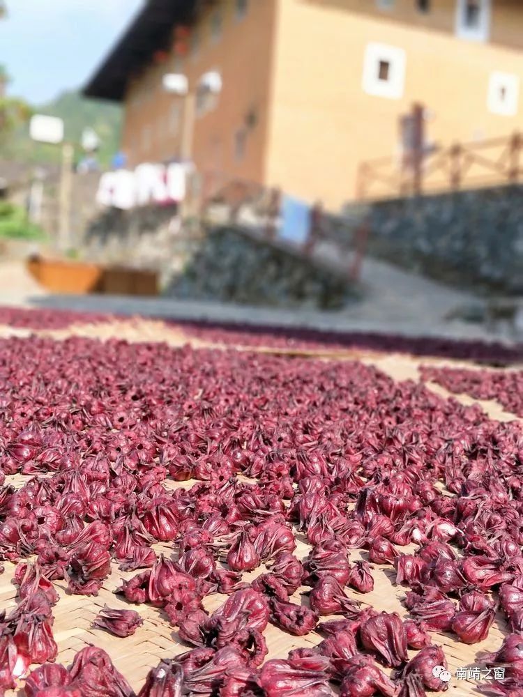 漳州南靖：有一种美，叫秋天的南靖