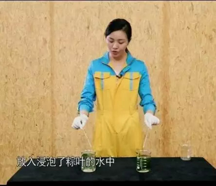 粽子有什么危险,警惕这种粽子