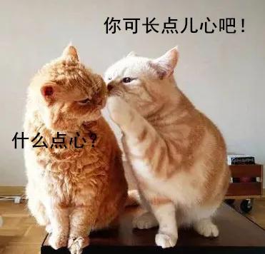 宝宝食用油吃哪种油比较好,小孩子多大可以吃跟大人一样的油