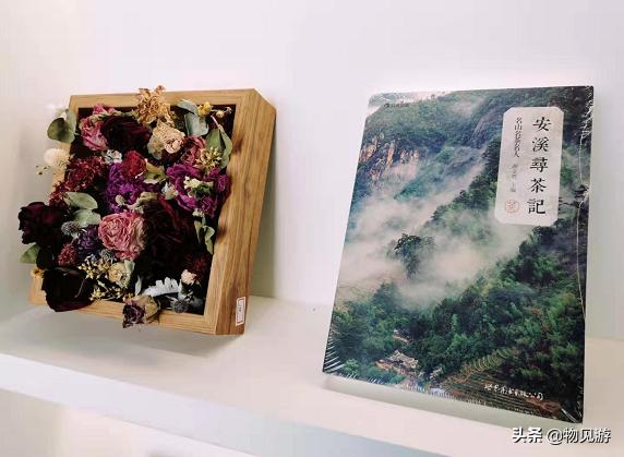 “85后”北京妞儿诗雯：我愿以茶为媒，让传统文化玩起来