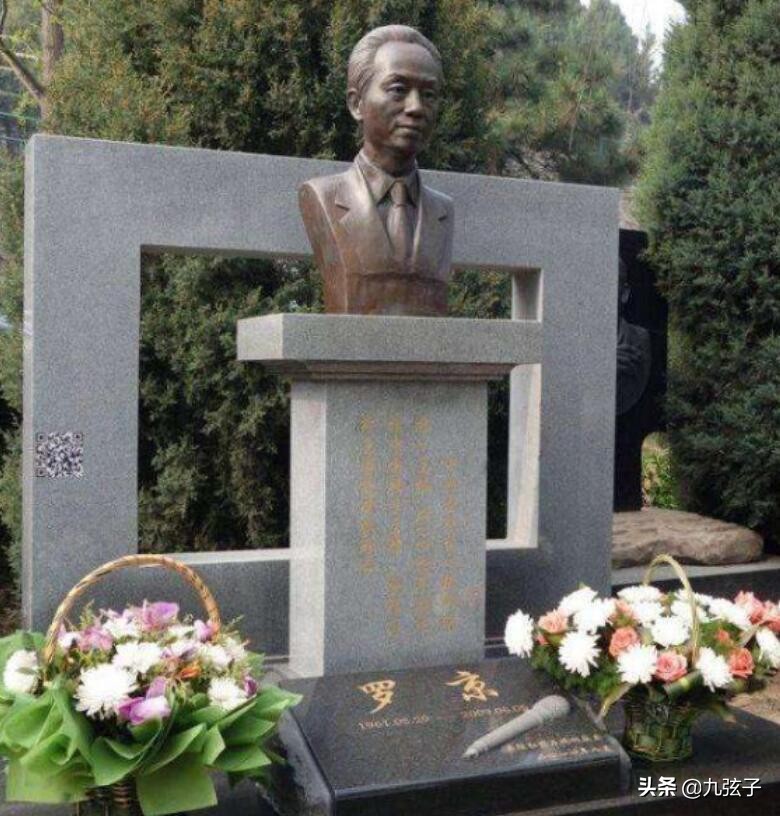 罗京临终前说过的话,罗京背后的故事