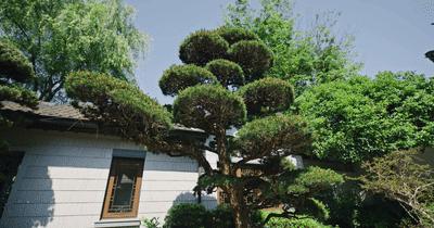 顶级轻奢豪宅屏风隔断,1.58亿豪宅