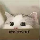 你到底相信了多少谣言,这一年你明白了多少道理