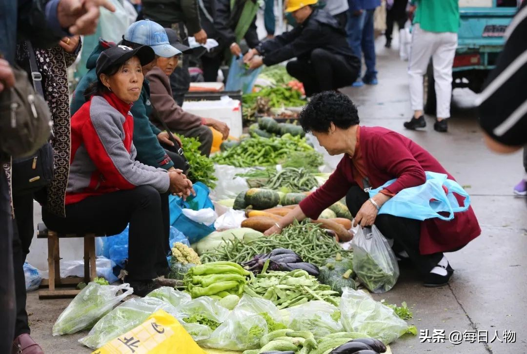 封路运不出去、批发商不要、进不了城上网卖，湖北的菜蔬无处安放