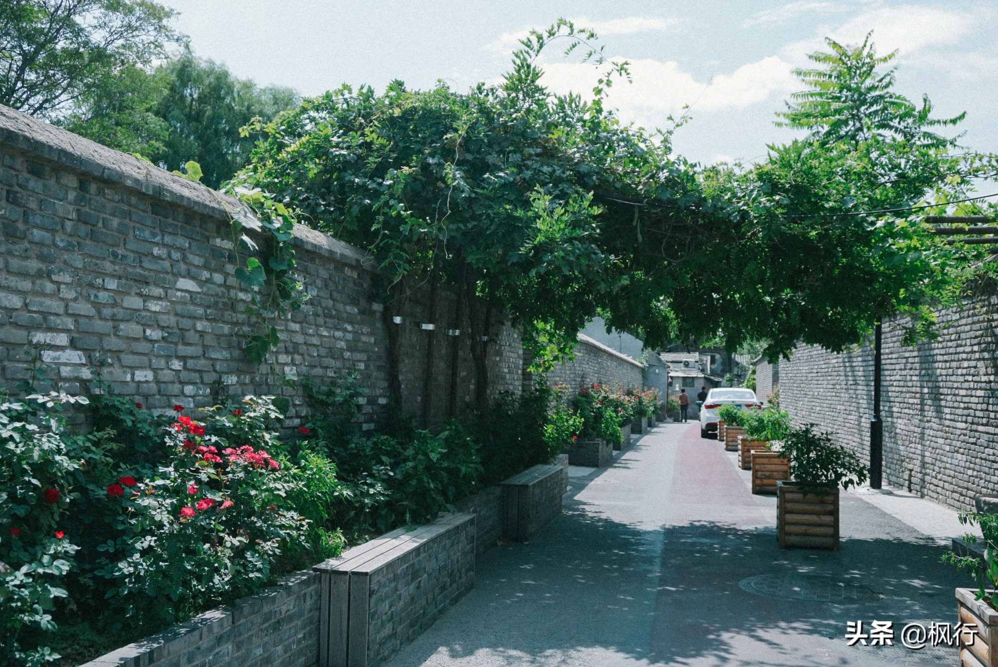 北京必去的咖啡馆推荐,从什刹海到王府井