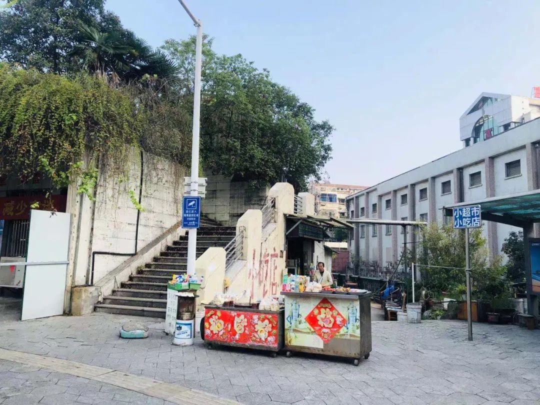 二十年后重游故地视频,时隔20年故地重游老家