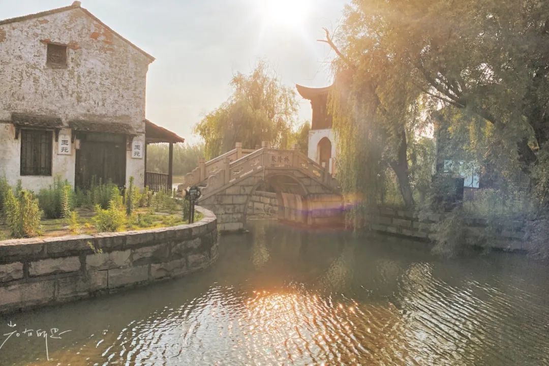 娌欏娴滈鏅尯鑺辨捣,娌欏娴滅殑绱壊鑺辨捣