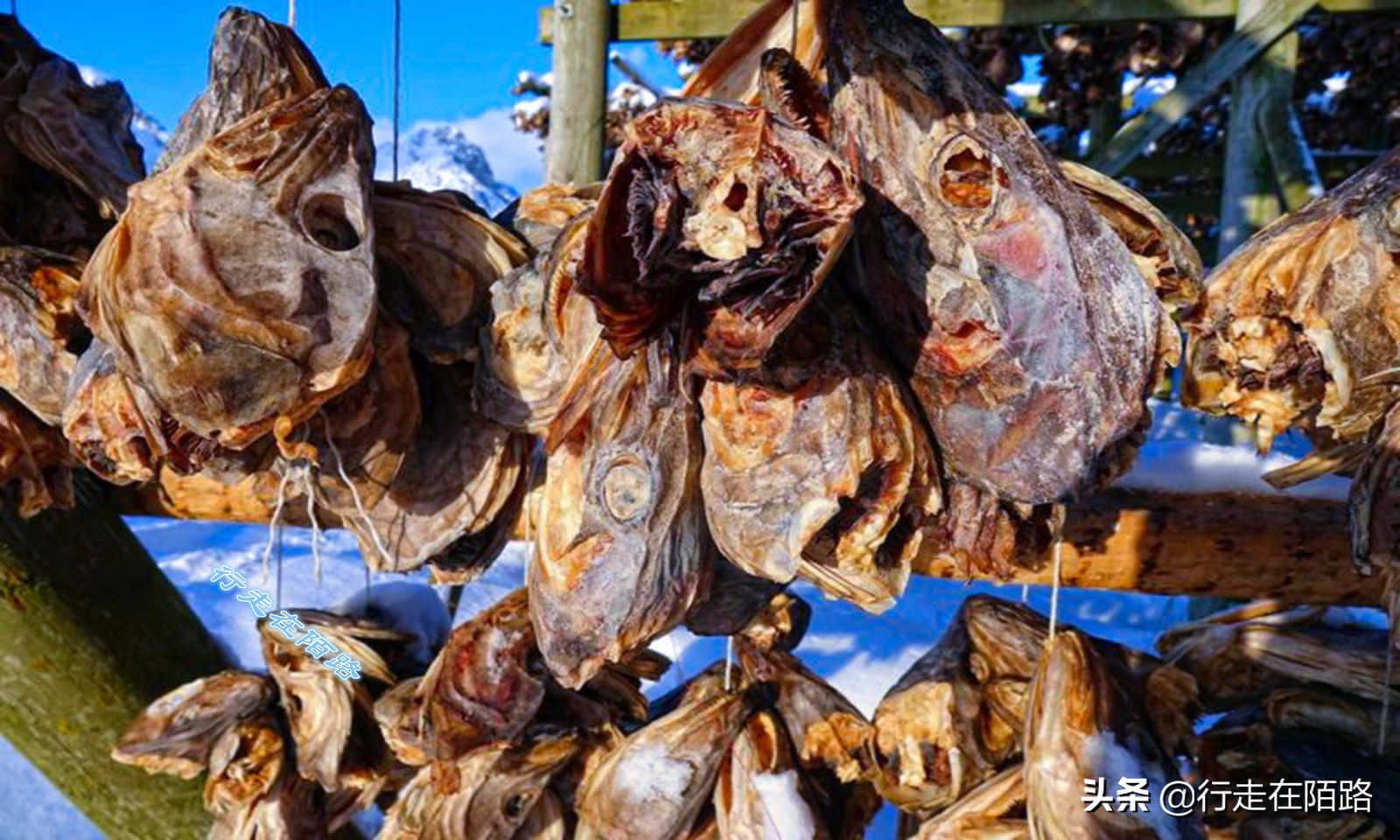 砸锅卖铁上一句,砸锅卖铁也要供你上学的励志语录