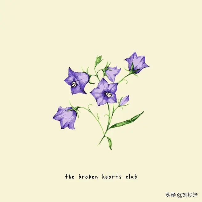 音乐是最能治愈我各种心情的良药,音乐是治愈心灵的最好良药