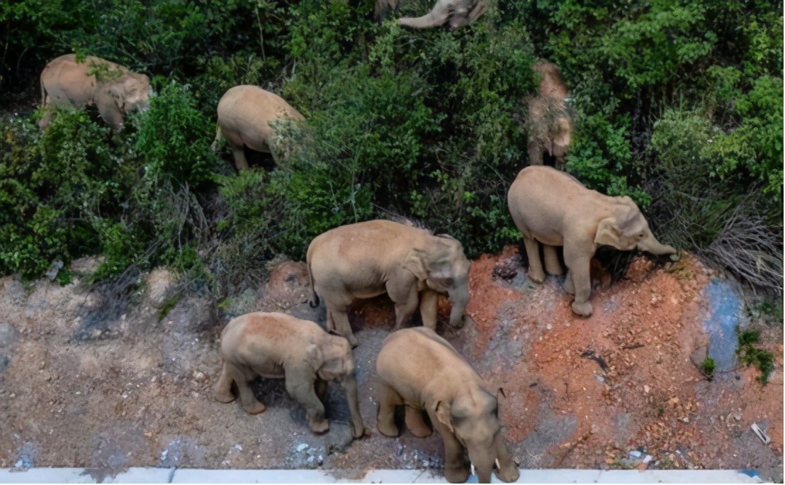 云南近年发生的较大地震,云南近十年较大地震