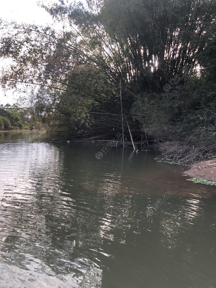 水底小鱼多就会没大鱼,自然水域没鱼情
