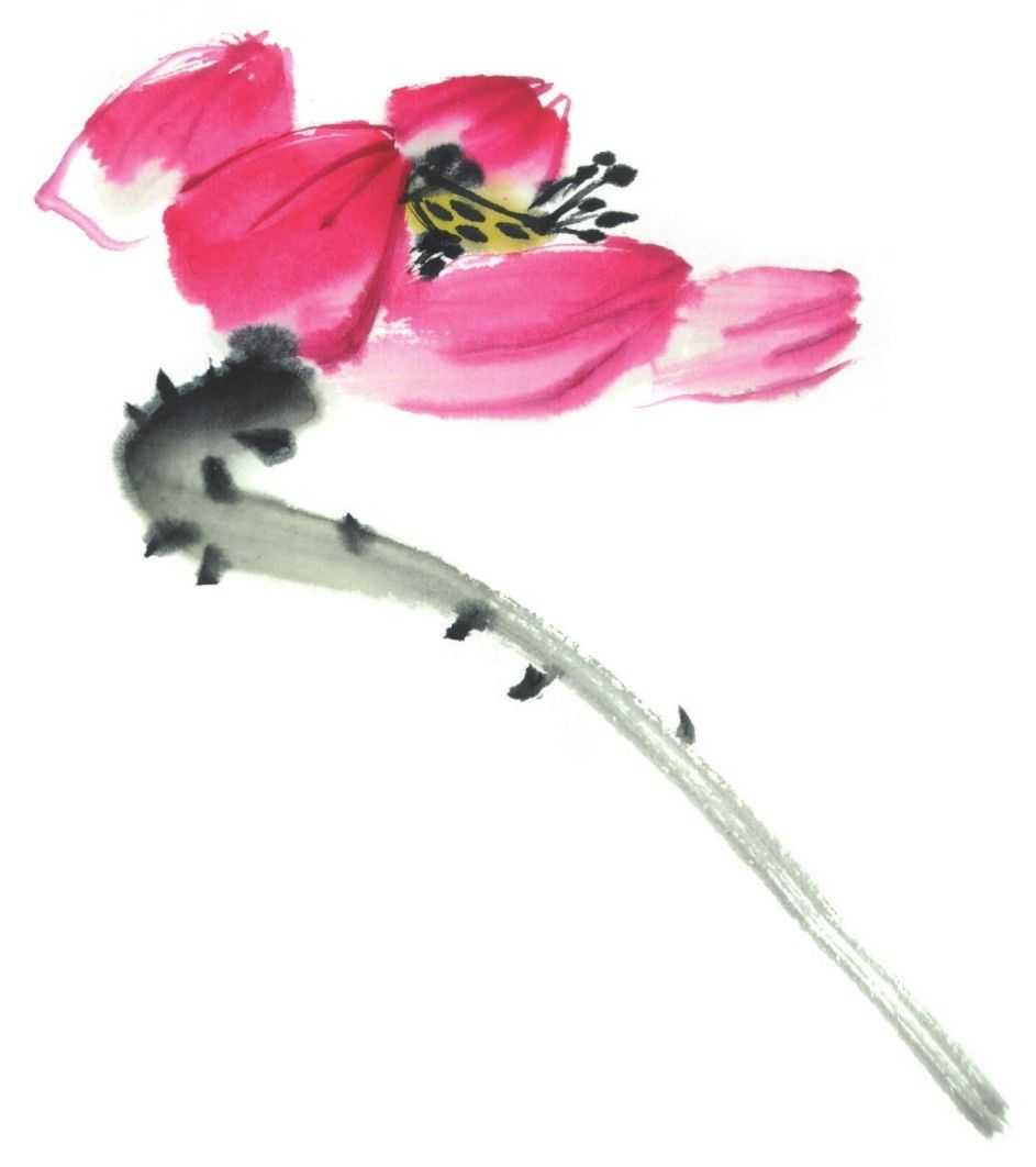 国画刘存惠荷花画法全视频,国画山水画教学视频荷花画法