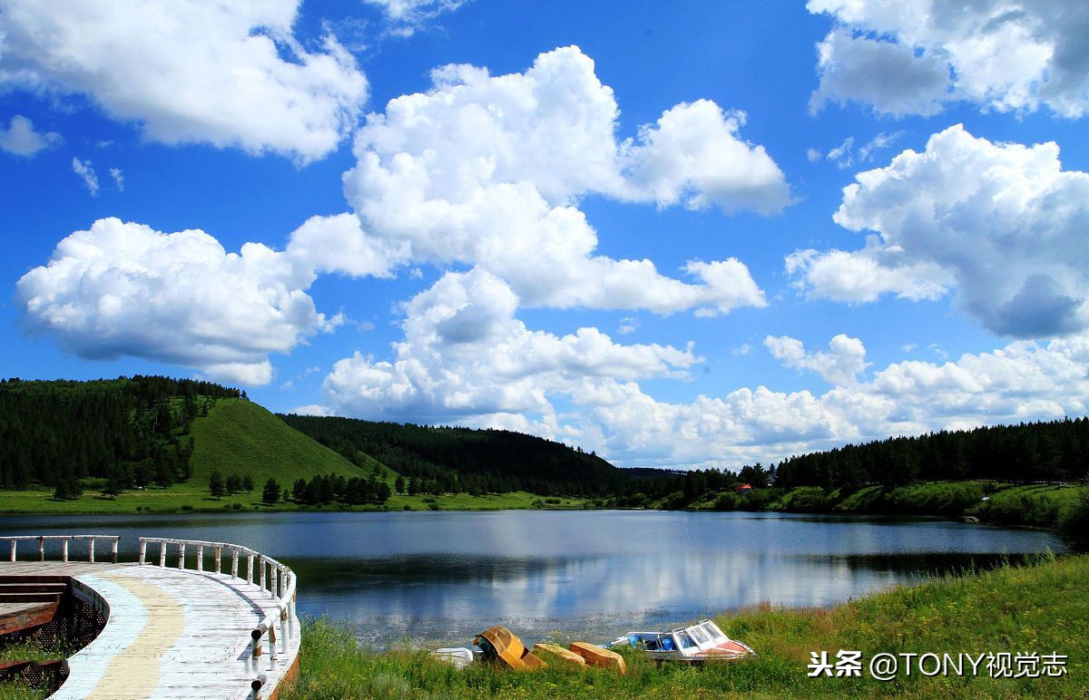 佳能尼康全幅单反相机推荐,佳能和尼康入门级单反推荐