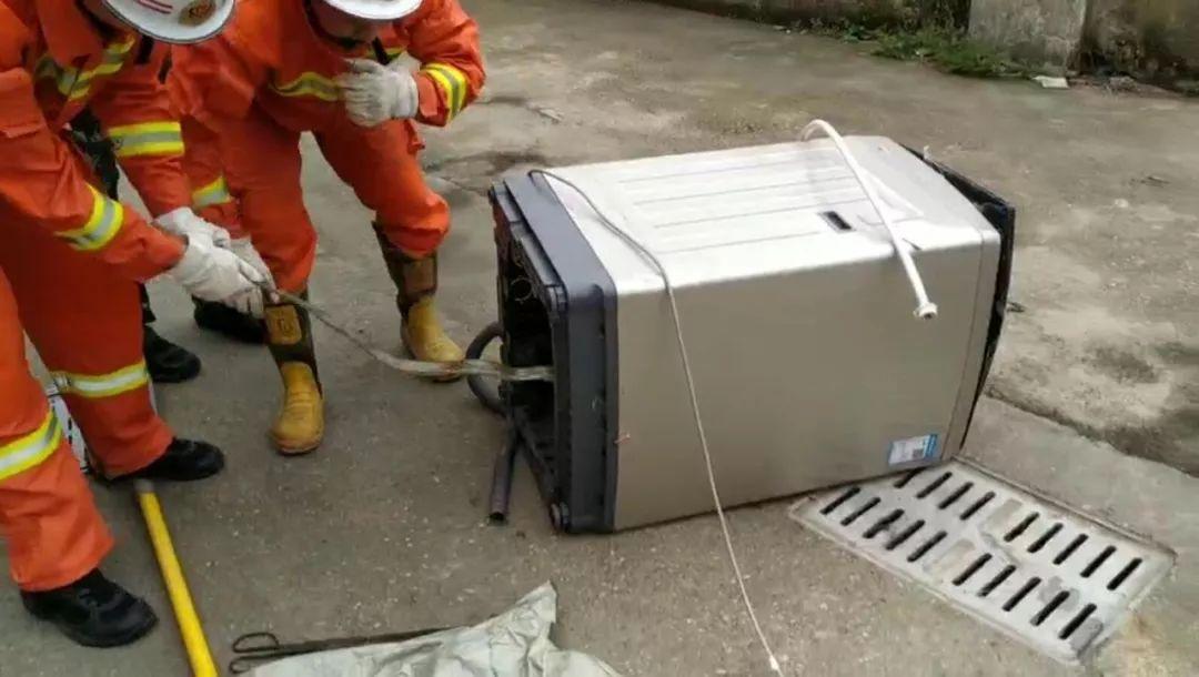 江西有60多种蛇，12种剧毒蛇，小心它们！