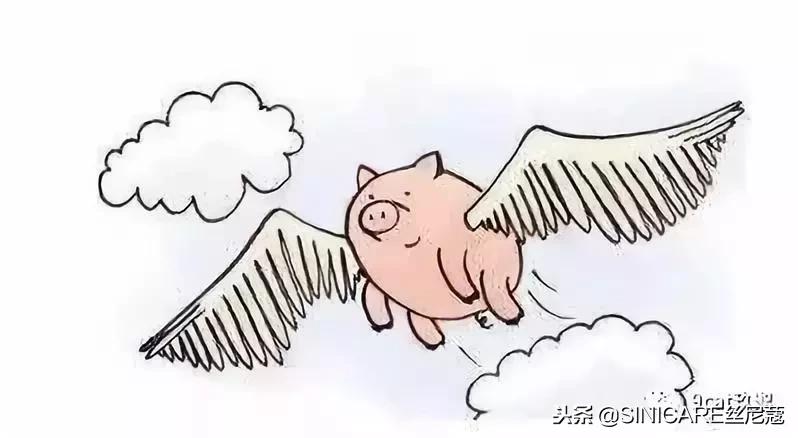 2019年1月1日电商法,2019年电商法代购