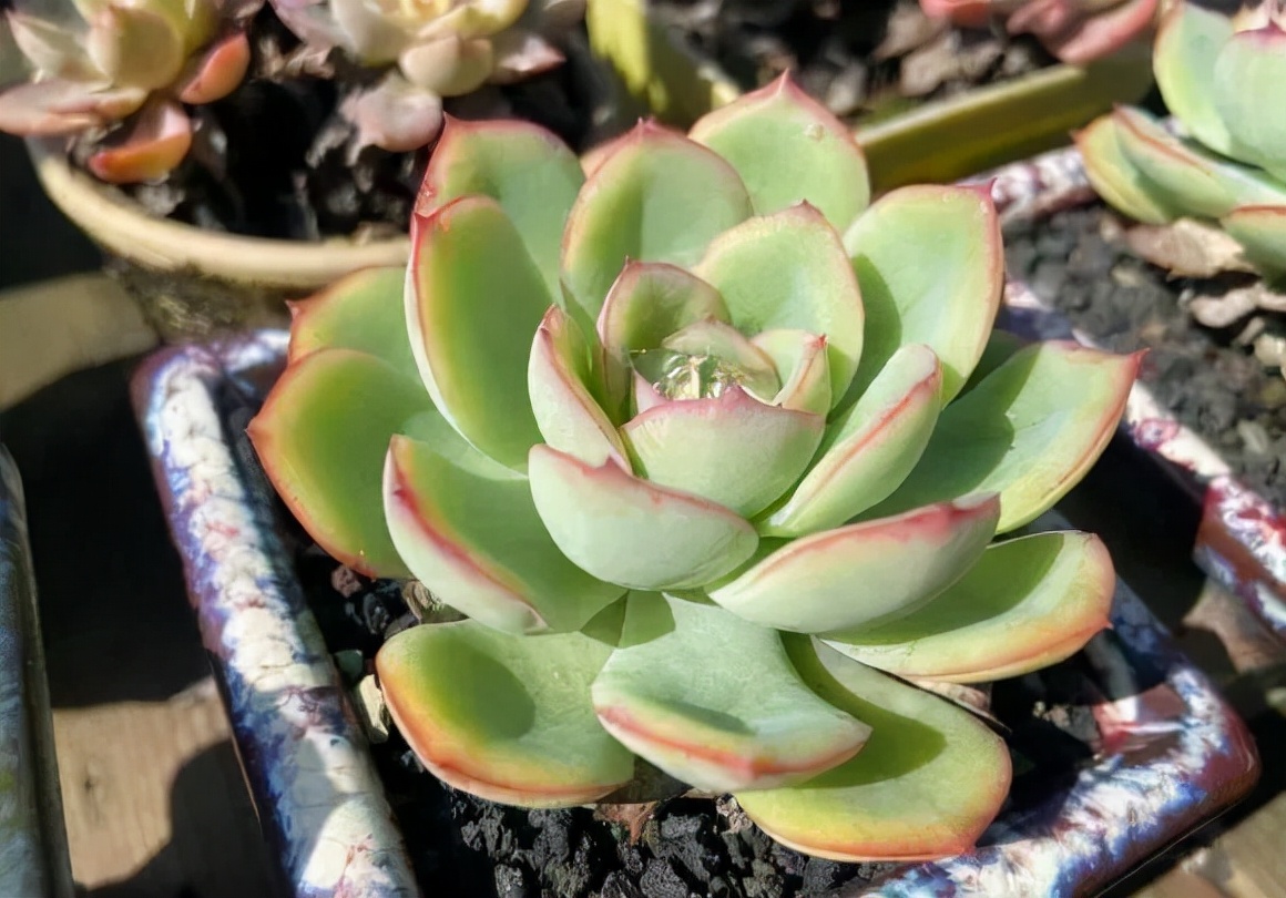 又到了晒肉的季节了,浙江一年一度晒肉季