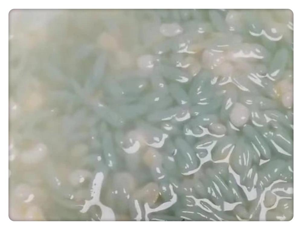 超市卖的绿色大米是什么,超市里的大米多少钱一斤