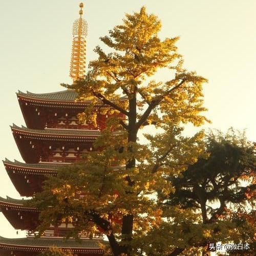 浅草寺蓝色御守,浅草寺御守有必要买吗
