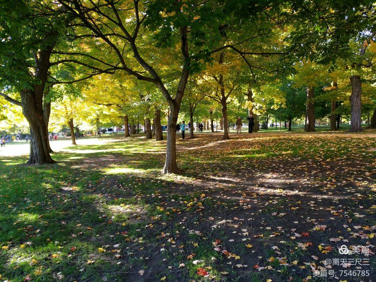 漫步魁北克体验不一样的北美风情,北美枫情蒙特利尔