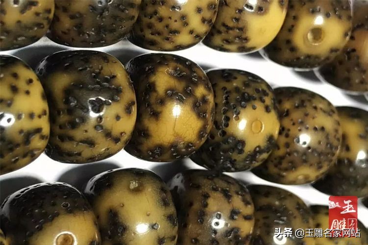 阴皮星月菩提好不好？阴皮星月菩提介绍