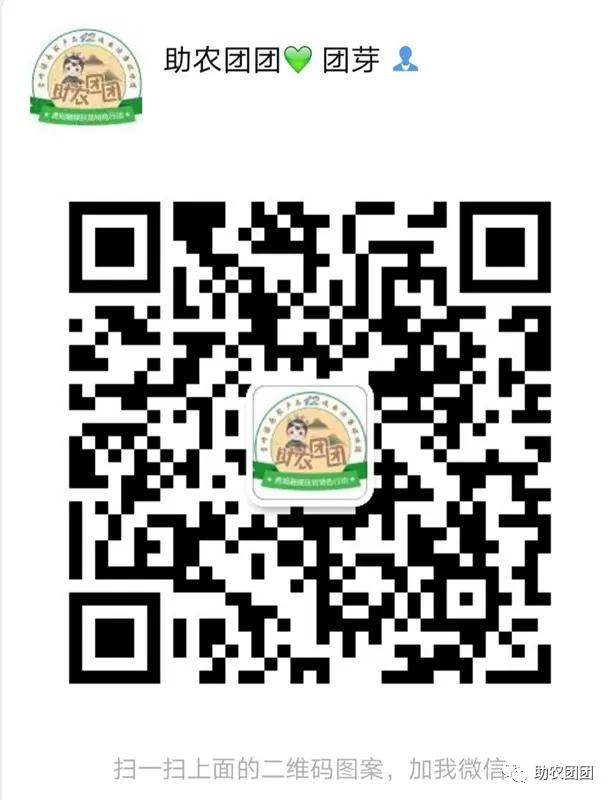 助农团团最新视频,助农团团所有视频