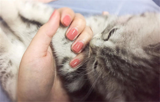 卸指甲工具怎么卸,卸指甲有没有可能把指甲卸掉