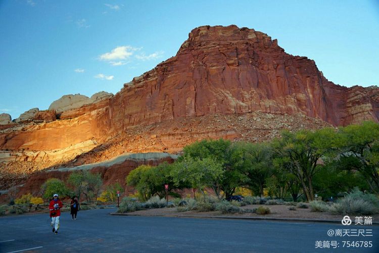 鍖楃編鏋儏闃虫柊,鍖楃編鏋儏鍥剧墖