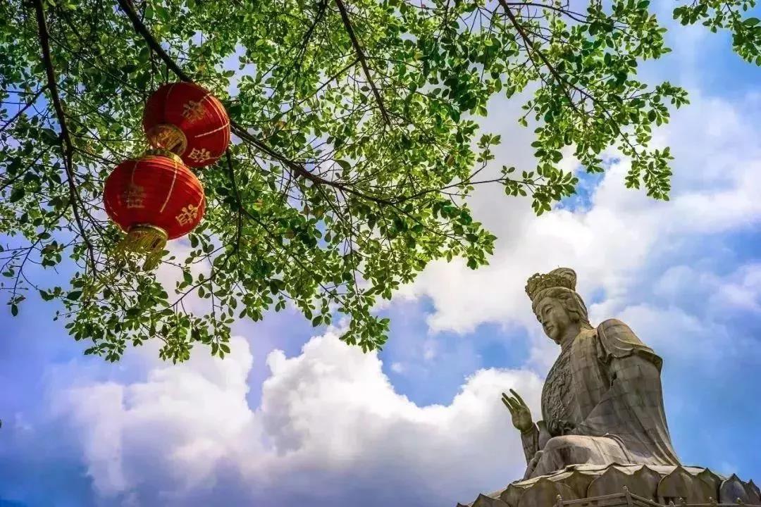 入住观音山旁的5星酒店，度假仅668元，早晚餐下午茶全齐，酒店接送