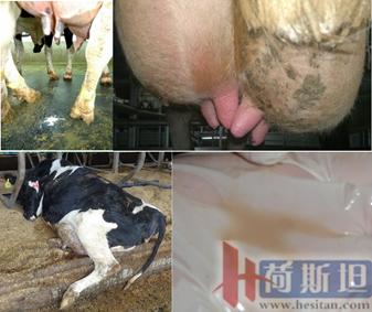 张廷青简介,张廷青