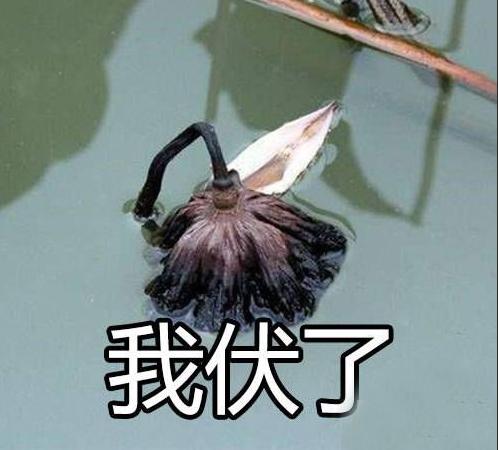 许家印吐槽恒大完整版,许家印亲自设计的恒大足球场