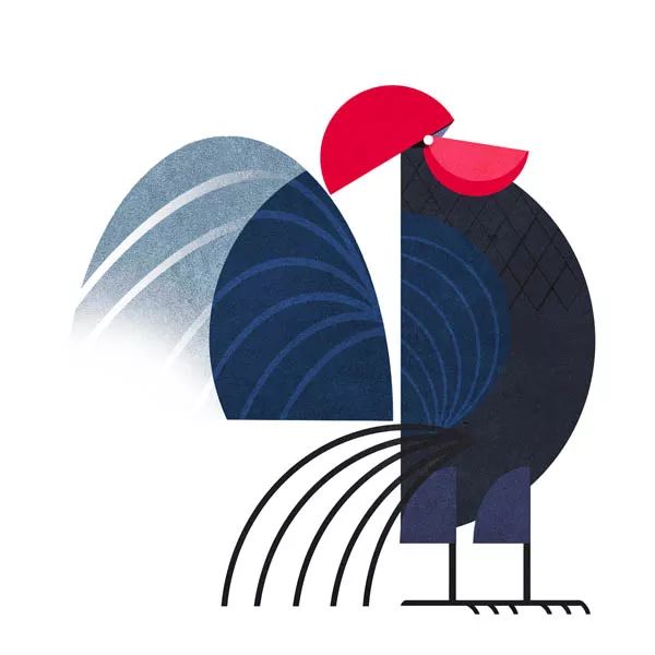 卡通插画欣赏图片,鸡插画元素