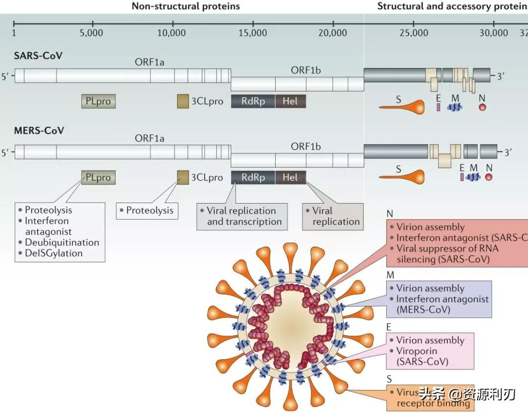 nature娌荤枟鏂板啝,nature鏉傚織鍙戣〃鏂板啝鑲虹値