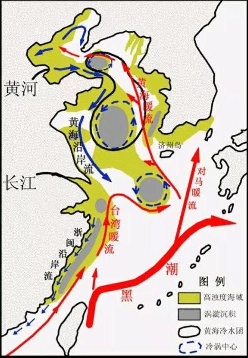 浙江沿海海水为什么这么浑浊,为什么上海的海边海水那么黄
