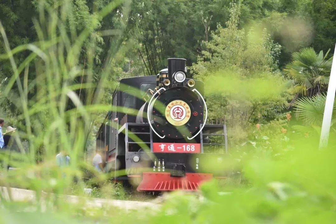 女神节礼物正在配送,江西明月山女神节免票活动开启