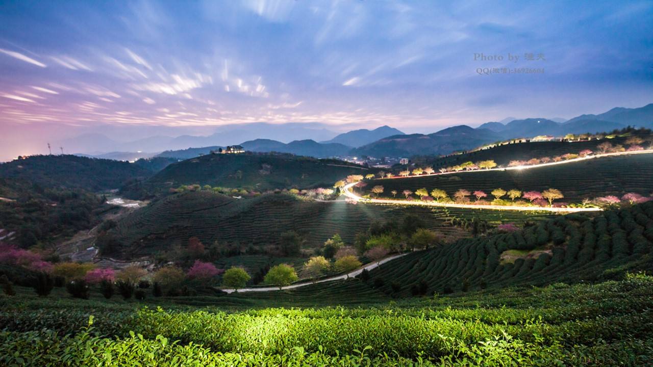 万亿微商市场乱象丛生:杨霞蜂蜜陈静酒成忽悠,从业人员2000万